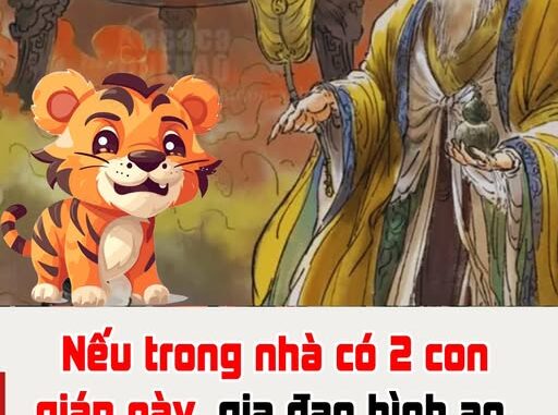 Nếu trong nhà có 2 con giáp này, gia đạo bình an, phú quý kéo dài bốn đời Nếu trong nhà có 2 con giáp này, gia đạo bình an, phú quý kéo dài bốn đời