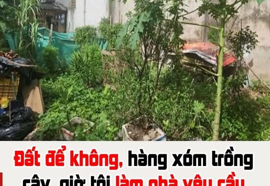 Có phải đền bù hoa màu khi lấy lại đất? Có phải đền bù hoa màu khi lấy lại đất?
