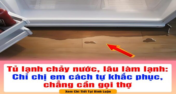 Tủ lạnh chảy nước, lâu làm lạnh: Chỉ chị em cách tự khắc phục, chẳng cần gọi thợ Tủ lạnh chảy nước, lâu làm lạnh: Chỉ chị em cách tự khắc phục, chẳng cần gọi thợ