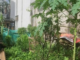 Có phải đền bù hoa màu khi lấy lại đất?