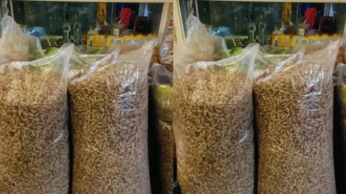 Thương lái thu mua xác ve sầu giá 2 triệu đồng/kg làm gì? Thương lái thu mua xác ve sầu giá 2 triệu đồng/kg làm gì?