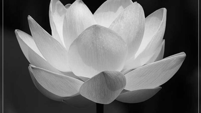 Tin buồn: Danh thủ bóng đá nổi tiếng vừa quadoi, người hâm mộ b:.àng h:.oàng Tin buồn: Danh thủ bóng đá nổi tiếng vừa quadoi, người hâm mộ b:.àng h:.oàng