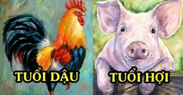 4 con giáp cùng xuất hiện trong một gia đình thì gia đình đó cực kì may mắn và giàu có 4 con giáp cùng xuất hiện trong một gia đình thì gia đình đó cực kì may mắn và giàu có