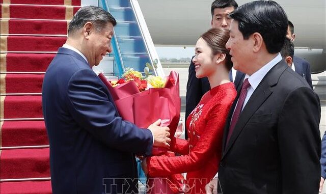 Danh tính cô gái Việt tặng hoa Chủ tịch Tập Cận Bình, trả lời phỏng vấn bằng tiếng Trung siêu thần thái Danh tính cô gái Việt tặng hoa Chủ tịch Tập Cận Bình, trả lời phỏng vấn bằng tiếng Trung siêu thần thái
