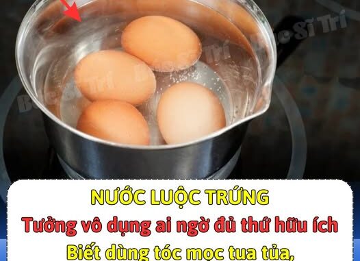 Nước luộc trứng dù không ăn được nhưng vẫn rất hữu dụng, nếu là người chơi cây cảnh thì nên biết, đừng đổ đi! Nước luộc trứng dù không ăn được nhưng vẫn rất hữu dụng, nếu là người chơi cây cảnh thì nên biết, đừng đổ đi!