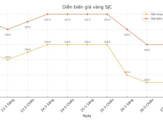 Cập nhật giá vàng sáng 28.5: R:ơi tự do