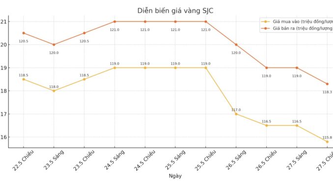 Cập nhật giá vàng sáng 28.5: R:ơi tự do