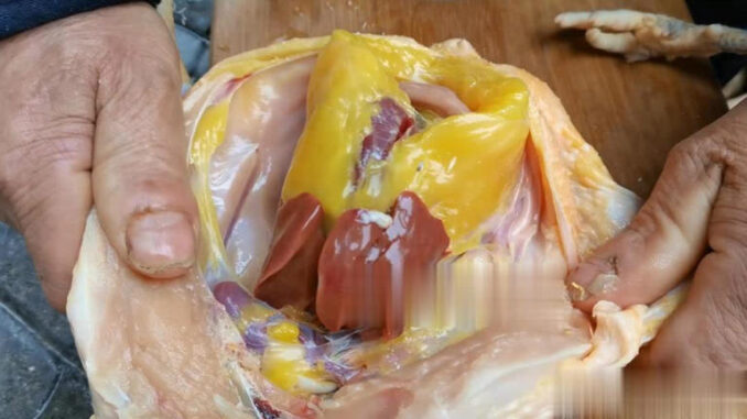 Phần thịt gà dinh dưỡng “đắt hơn giá vàng” nhưng lại hay bị người Việt vứt bỏ