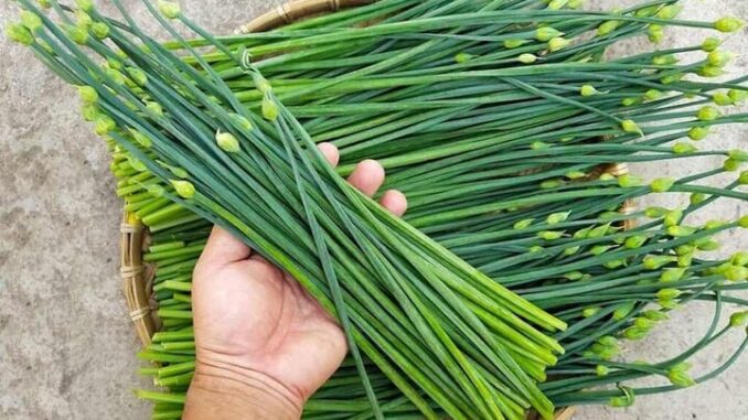 11 lợi ích không ngờ của lá hẹ đối với sức khỏe!
