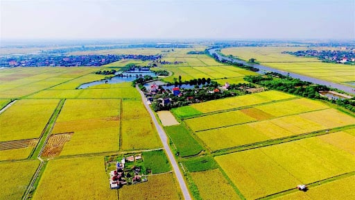 Kể từ năm 2025, đất nông nghiệp bị thu hồi được bồi thường bằng nhà ở? Người dân nên nắm rõ để được lợi nhất Kể từ năm 2025, đất nông nghiệp bị thu hồi được bồi thường bằng nhà ở? Người dân nên nắm rõ để được lợi nhất