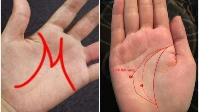 Người ít nghiệp nhiều phúc, trên bàn tay thường có 4 điều này: Ai có 1/4 cả đời sống trong nhung lụa Người ít nghiệp nhiều phúc, trên bàn tay thường có 4 điều này: Ai có 1/4 cả đời sống trong nhung lụa