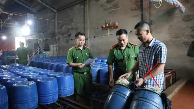Triệt phá cơ sở bán 60 tấn giá đỗ tẩm chất tăng trưởng Triệt phá cơ sở bán 60 tấn giá đỗ tẩm chất tăng trưởng